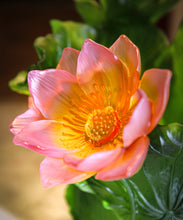 Load image into Gallery viewer, Jardin de Lotus Vase magnum 99ex - Daum
