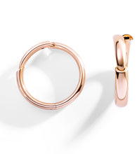 Load image into Gallery viewer, Calla the One earrings