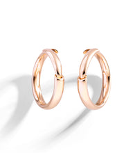 Load image into Gallery viewer, Calla the One earrings