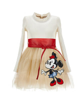 Load image into Gallery viewer, Minnie tulle & bow dress