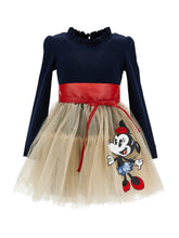 Load image into Gallery viewer, Minnie tulle & bow dress