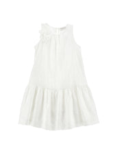Load image into Gallery viewer, Caroline georgette embroidered dress