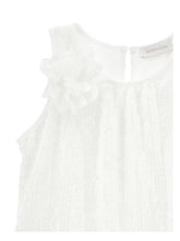 Load image into Gallery viewer, Caroline georgette embroidered dress