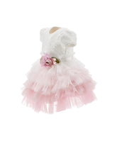 Load image into Gallery viewer, Degradé tulle and sequin dress