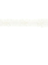 Load image into Gallery viewer, Tulle band with bows