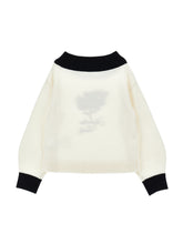 Load image into Gallery viewer, Embroidered low-cut sweater