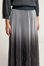 Load image into Gallery viewer, Midi skirt in ombré pleated tulle