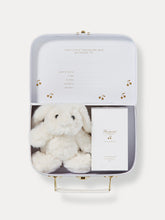 Load image into Gallery viewer, Newborn edition Suitcase