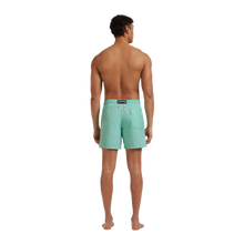 Load image into Gallery viewer, Swim Trunks Solid