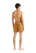 Load image into Gallery viewer, Swim Trunks Herringbones Turtles