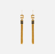 Load image into Gallery viewer, Earrings with snake detail and tassels