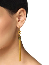 Load image into Gallery viewer, Earrings with snake detail and tassels