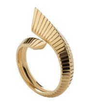 Load image into Gallery viewer, Embrace Ring