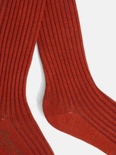 Load image into Gallery viewer, Banny brown cotton tights