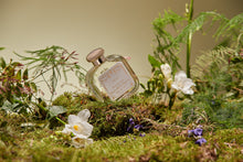 Load image into Gallery viewer, Fresia