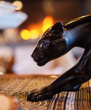 Load image into Gallery viewer, PanthÃ¨re magnum 1000ex - Daum
