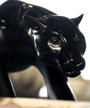 Load image into Gallery viewer, PanthÃ¨re magnum 1000ex - Daum
