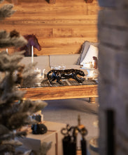 Load image into Gallery viewer, PanthÃ¨re magnum 1000ex - Daum
