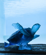 Load image into Gallery viewer, Mer de Corail Tortue de mer grand modÃ¨le Bleue - Daum

