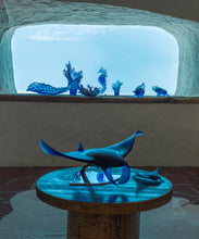 Load image into Gallery viewer, Mer de Corail Tortue de mer grand modÃ¨le Bleue - Daum
