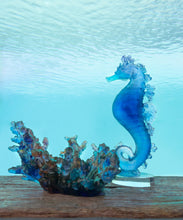 Load image into Gallery viewer, Mer de Corail Hippocampe Bleu et rose - Daum
