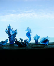 Load image into Gallery viewer, Mer de Corail Hippocampe Bleu et rose - Daum
