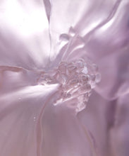 Load image into Gallery viewer, Camelia Vase grand modÃ¨le Rose - Daum
