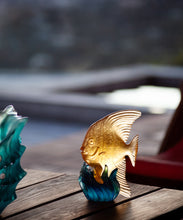 Load image into Gallery viewer, Maya Platax moyen modÃ¨le Jaune et bleu - Daum
