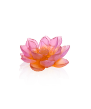 Load image into Gallery viewer, Jardin de Lotus Fleur dÃ©corative Ambre-rose - Daum
