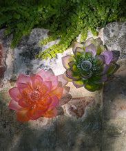 Load image into Gallery viewer, Jardin de Lotus Fleur dÃ©corative Ambre-rose - Daum
