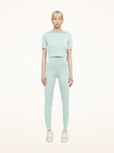 Load image into Gallery viewer, The Workout Leggings
