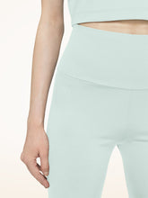 Load image into Gallery viewer, The Workout Leggings
