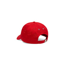 Load image into Gallery viewer, Embroidered Cap Turtles All Over
