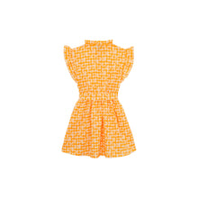 Load image into Gallery viewer, Cotton Dress Turtle Vichy
