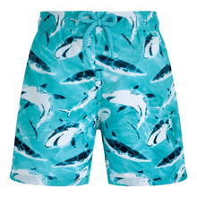 Load image into Gallery viewer, Ultra-Light and Packable Swim Trunks Requins
