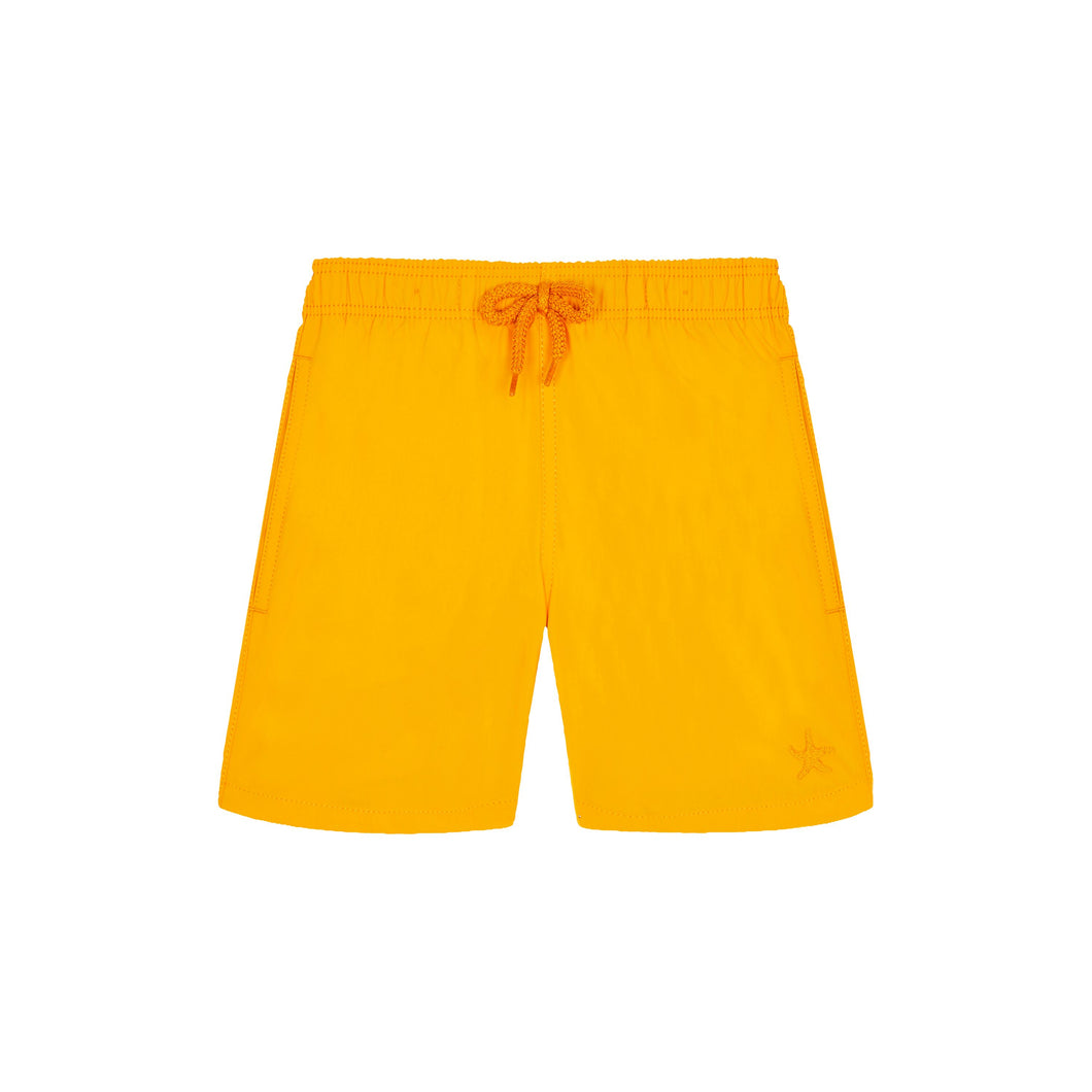 Swim Shorts Starfish Art