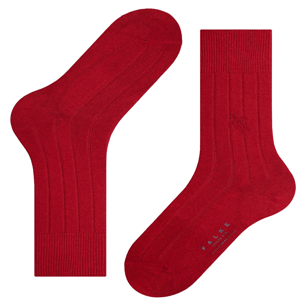 Socks Ronde des Tortues - Vilebrequin x Falke