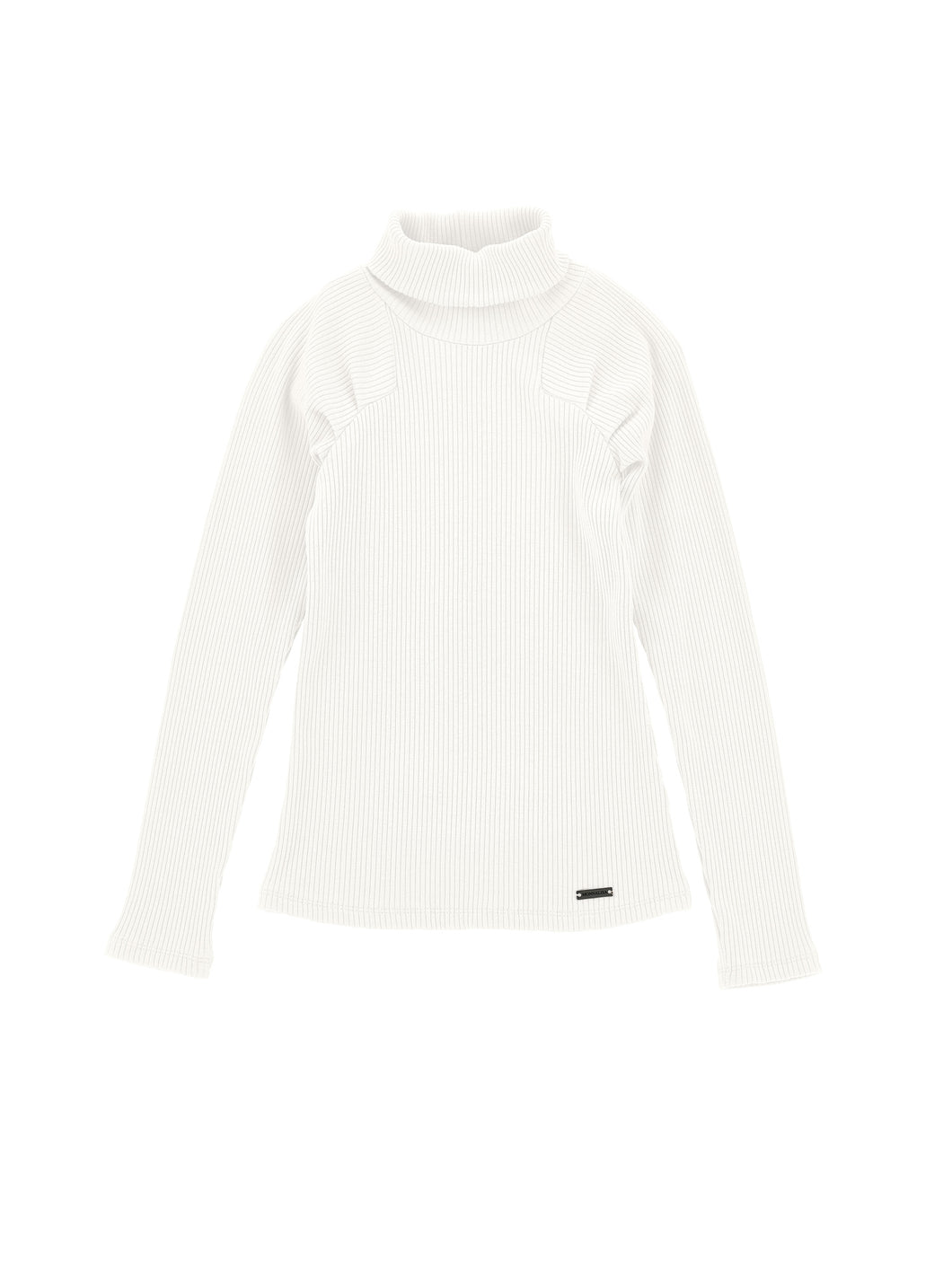 Ribbed knit turtleneck