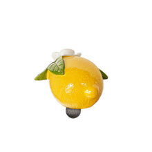 Load image into Gallery viewer, Seferî Storyteller Plate Charm - Lemon - Set of 4
