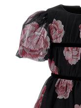 Load image into Gallery viewer, Tulle and rose dress
