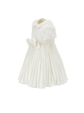 Load image into Gallery viewer, Velvet dress with roses
