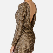 Load image into Gallery viewer, Sequin-embroidered tulle boxy mini-dress
