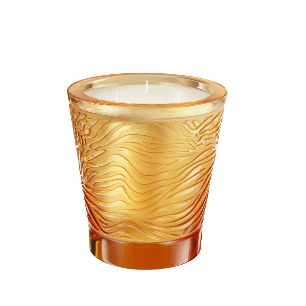 Jungle Limited Edition Scented Candle