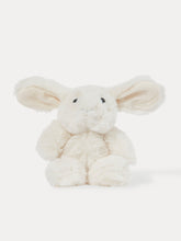 Load image into Gallery viewer, Newborn edition Suitcase
