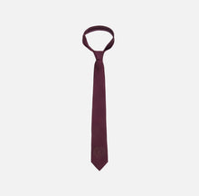 Load image into Gallery viewer, Silk tie with embroidered logo
