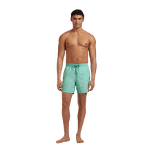Load image into Gallery viewer, Swim Trunks Solid
