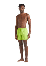 Load image into Gallery viewer, Swim Trunks Water-reactive Requins
