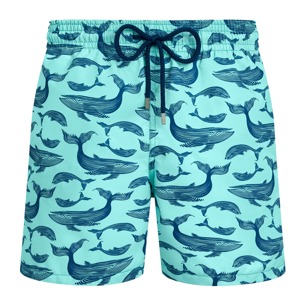 Swim Shorts Whales