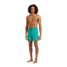 Load image into Gallery viewer, Swim Shorts Water-reactive Whales
