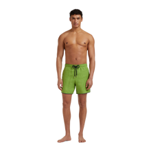 Load image into Gallery viewer, Linen Swim Shorts Solid

